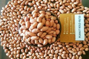 Ground nuts from India